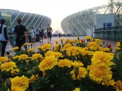 武汉光谷国际网球中心主场馆工程